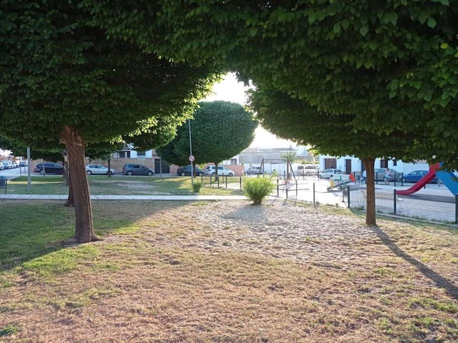 Appartamento Acogedor Loft A 30 Minutos De La Playa Y Montana Lebrija Esterno foto
