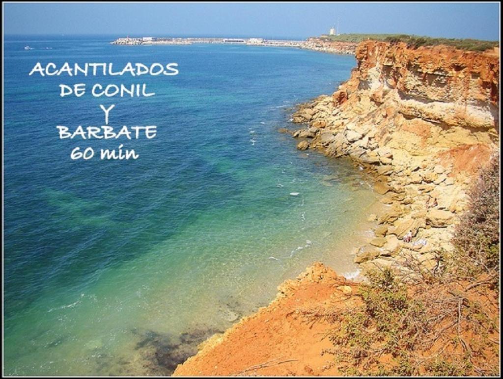 Appartamento Acogedor Loft A 30 Minutos De La Playa Y Montana Lebrija Esterno foto