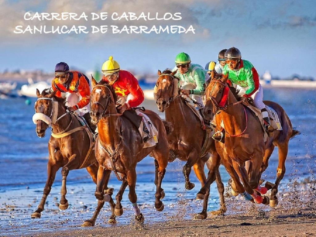 Appartamento Acogedor Loft A 30 Minutos De La Playa Y Montana Lebrija Esterno foto
